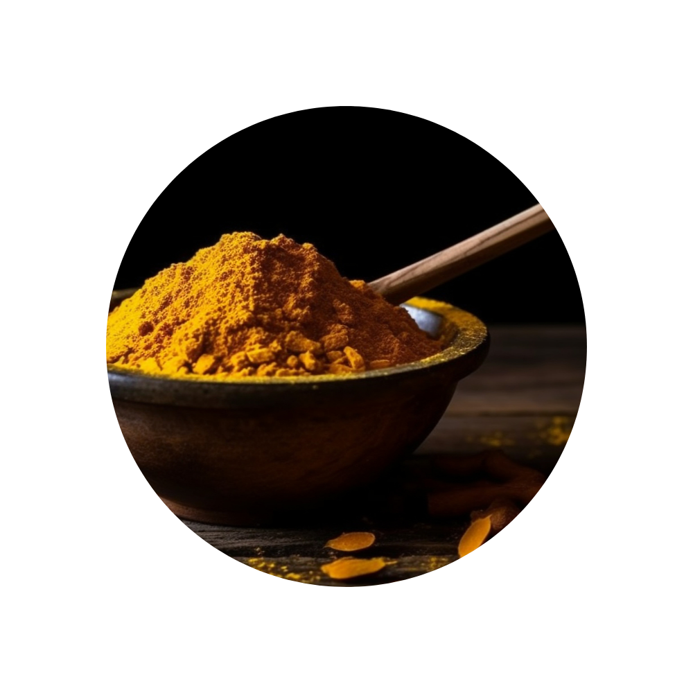 Turmeric Longa